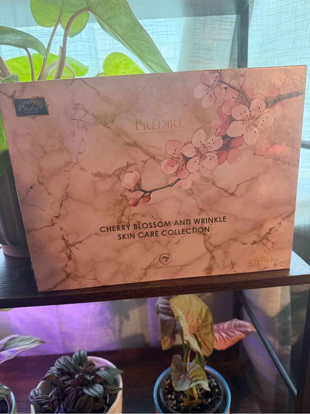 Cherry Blossom Anti-Wrinkle Skin Care Collection